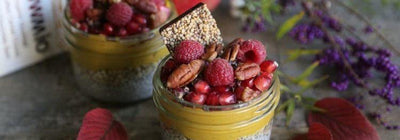 Pumpkin Pie Chia Pudding Parfaits with Pomegranate and Pecans (Recipe!)