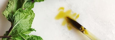 What are Carrier Oils and Why Do They Matter in Your Hemp CBD