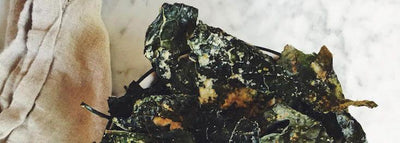 5 Ingredient Oven Toasted Cheesy Tahini Kale Chips (Vegan, Paleo, EASY)