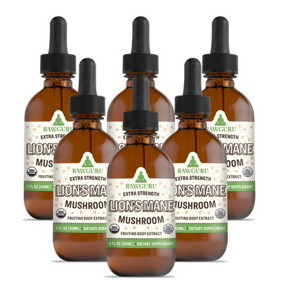 Organics Lion's Mane Mushroom Tincture - 60 ML (6 Month Supply)